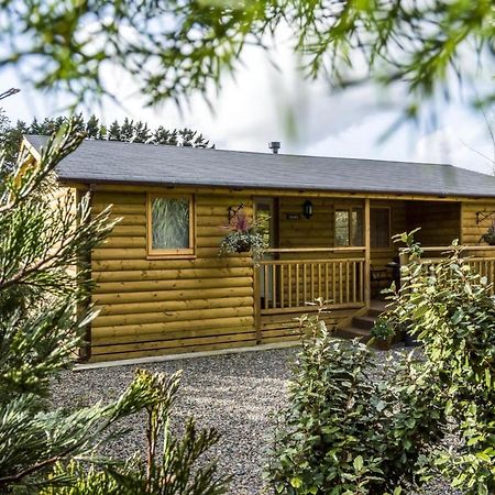 Fern Lodge - 2 Bedroom Log Cabin - Saint Florence - Tenby Buitenkant foto