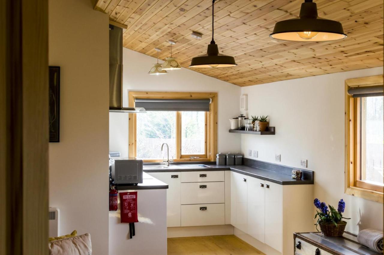 Fern Lodge - 2 Bedroom Log Cabin - Saint Florence - Tenby Buitenkant foto