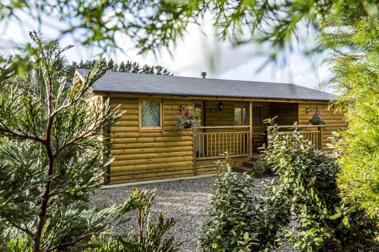 Fern Lodge - 2 Bedroom Log Cabin - Saint Florence - Tenby Buitenkant foto