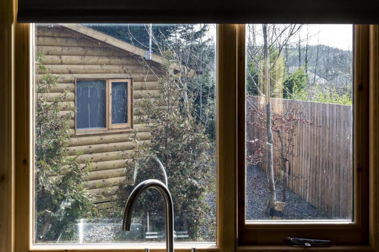 Fern Lodge - 2 Bedroom Log Cabin - Saint Florence - Tenby Buitenkant foto