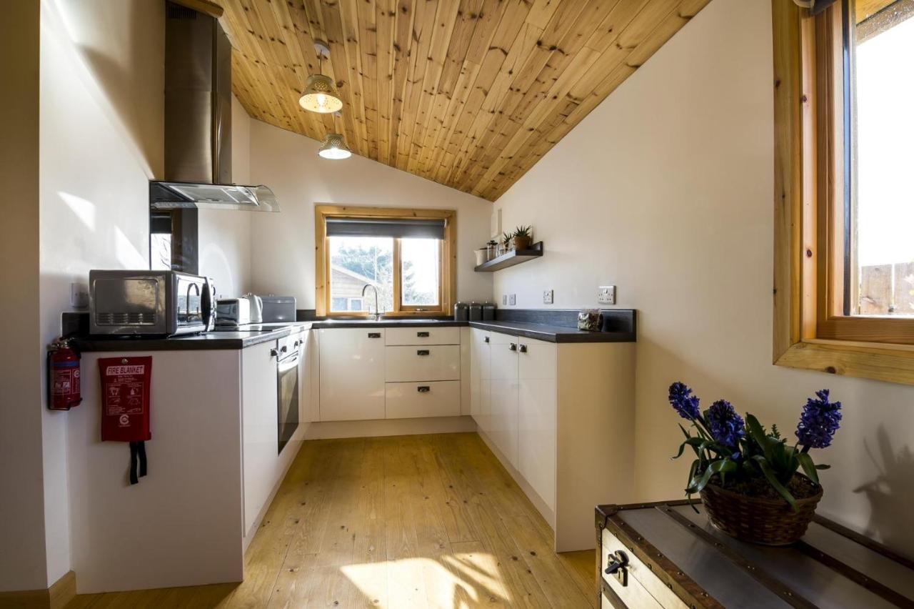 Fern Lodge - 2 Bedroom Log Cabin - Saint Florence - Tenby Buitenkant foto